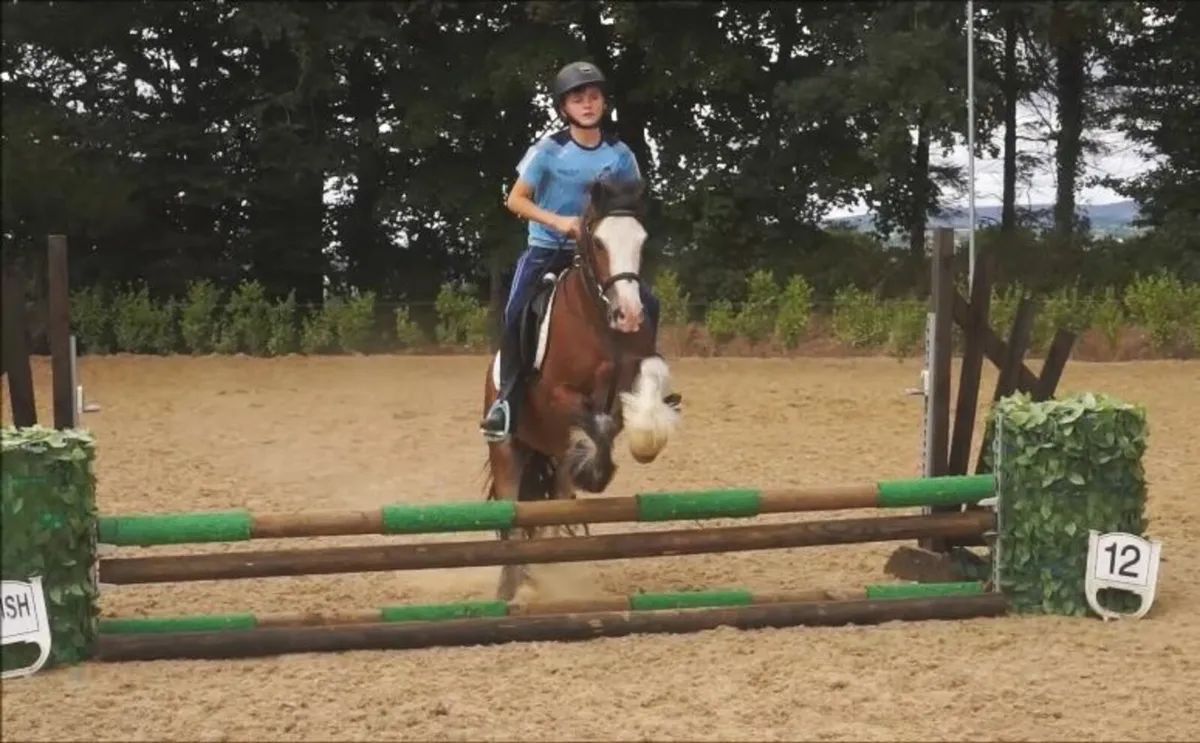 🌟 12h Pony Club Pony 🌟 - Image 3