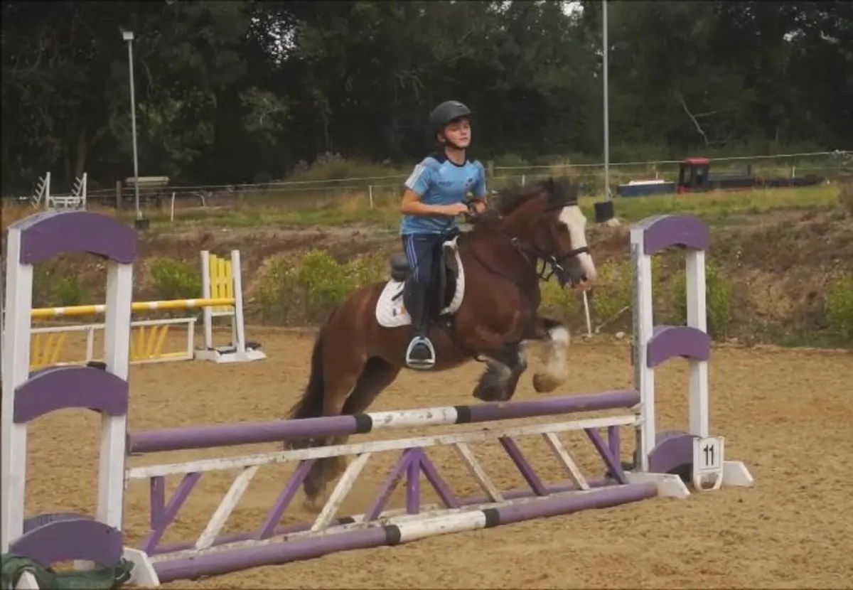🌟 12h Pony Club Pony 🌟 - Image 4