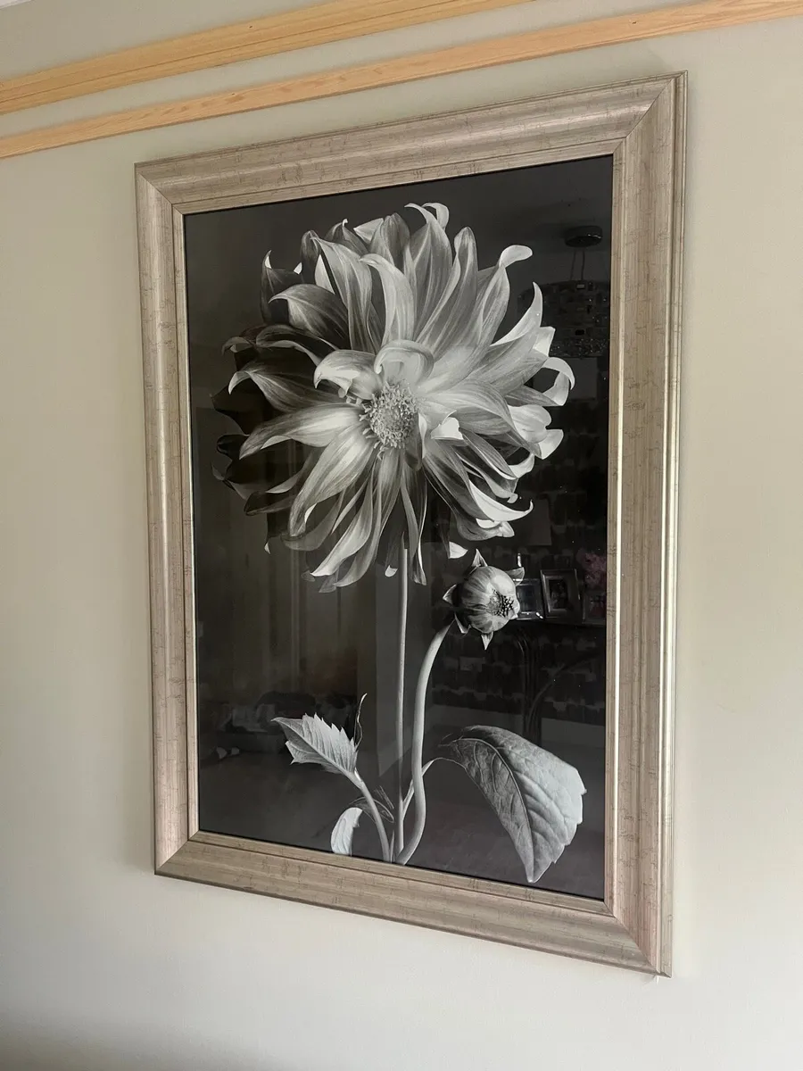 Mirrors And Pictures - Image 3