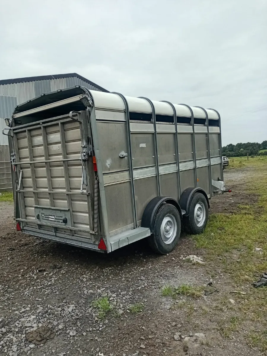 Trailor - Image 2