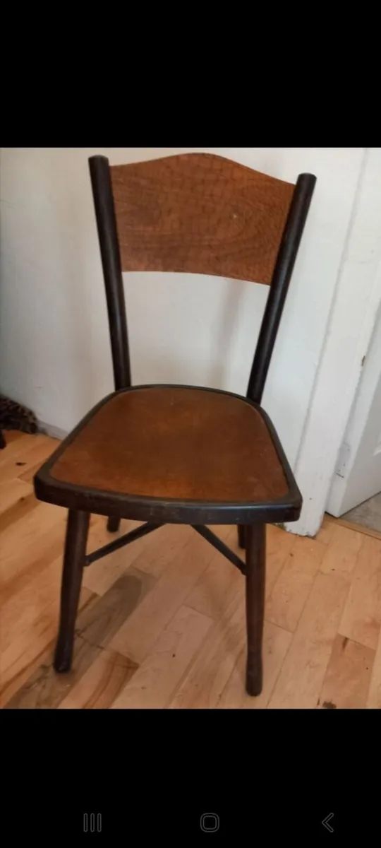 rare fischel crocodile chair - Image 4