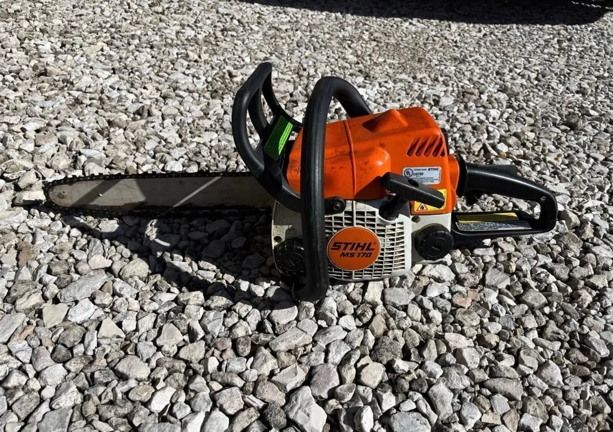 Stihl ms 170