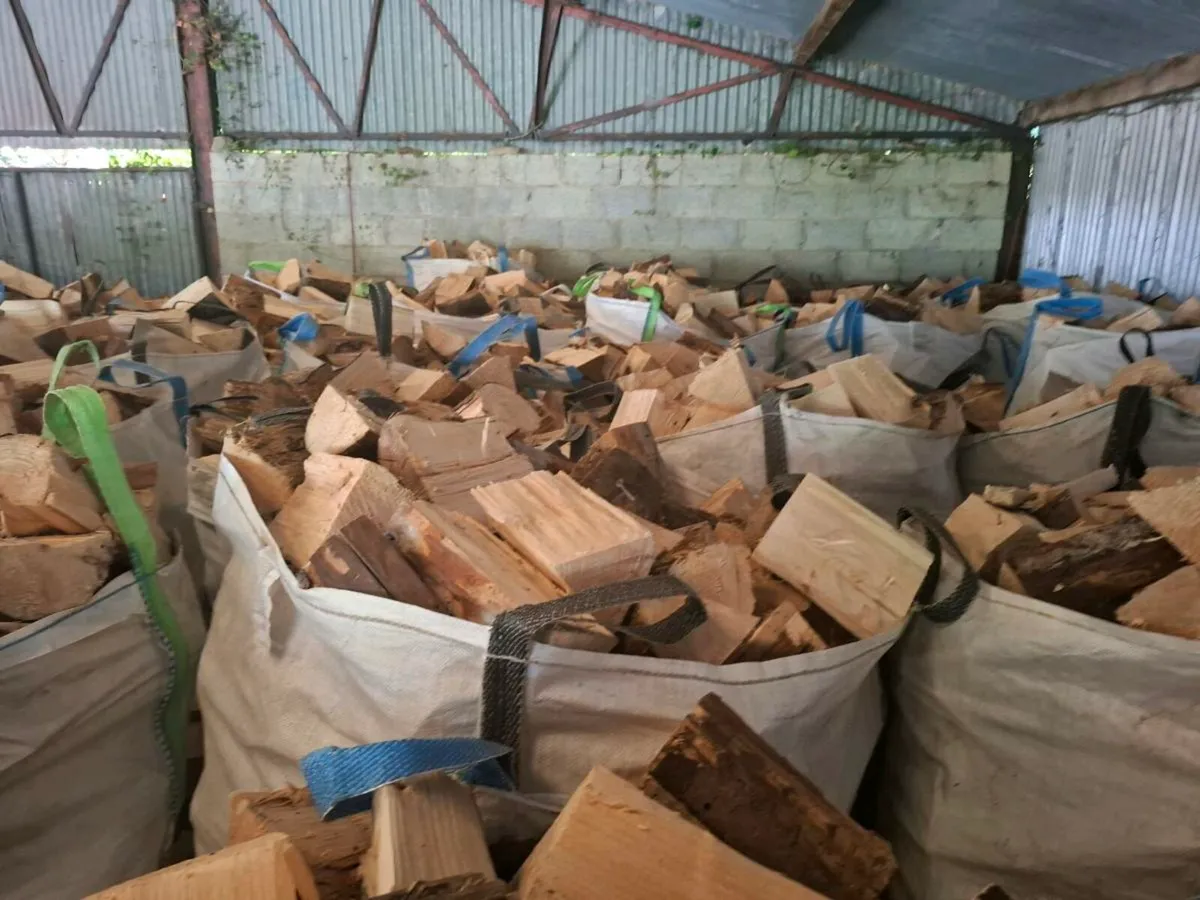Firewood - Image 4