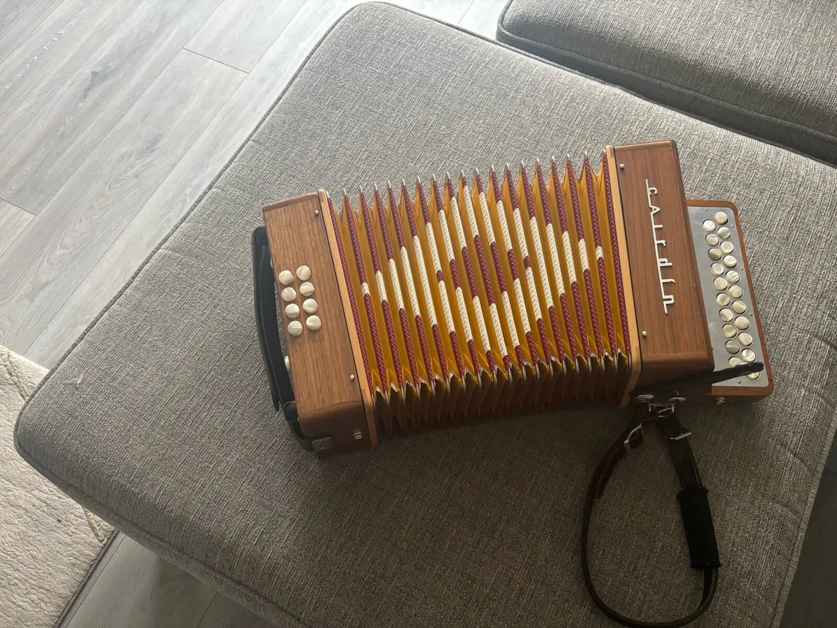 accordion - Image 2