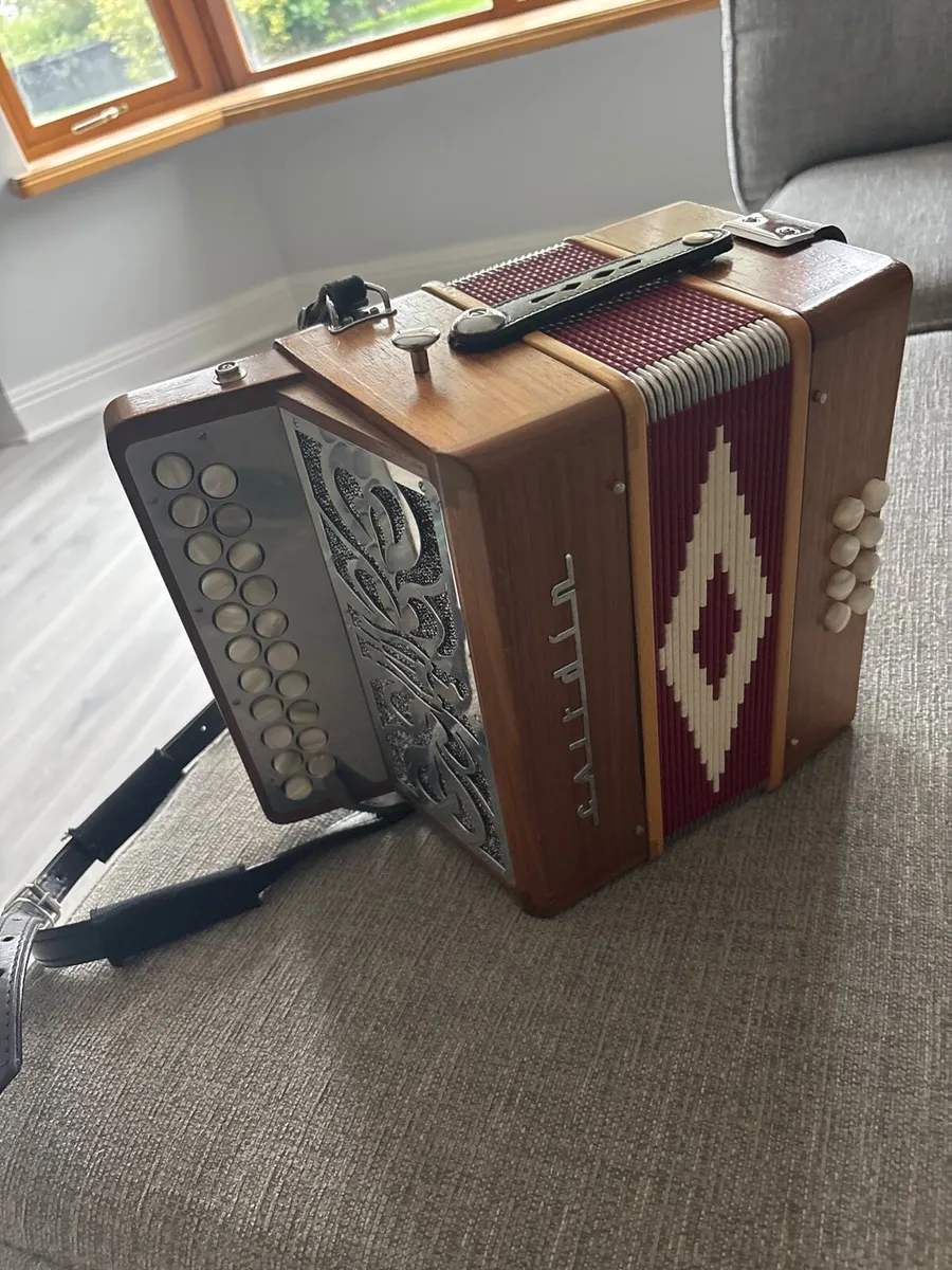 accordion - Image 1