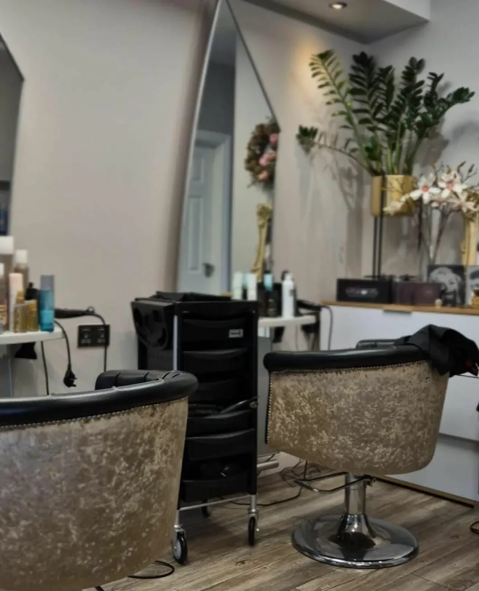 Hairdresser’s Chair to Rent – Kilcock - Image 3