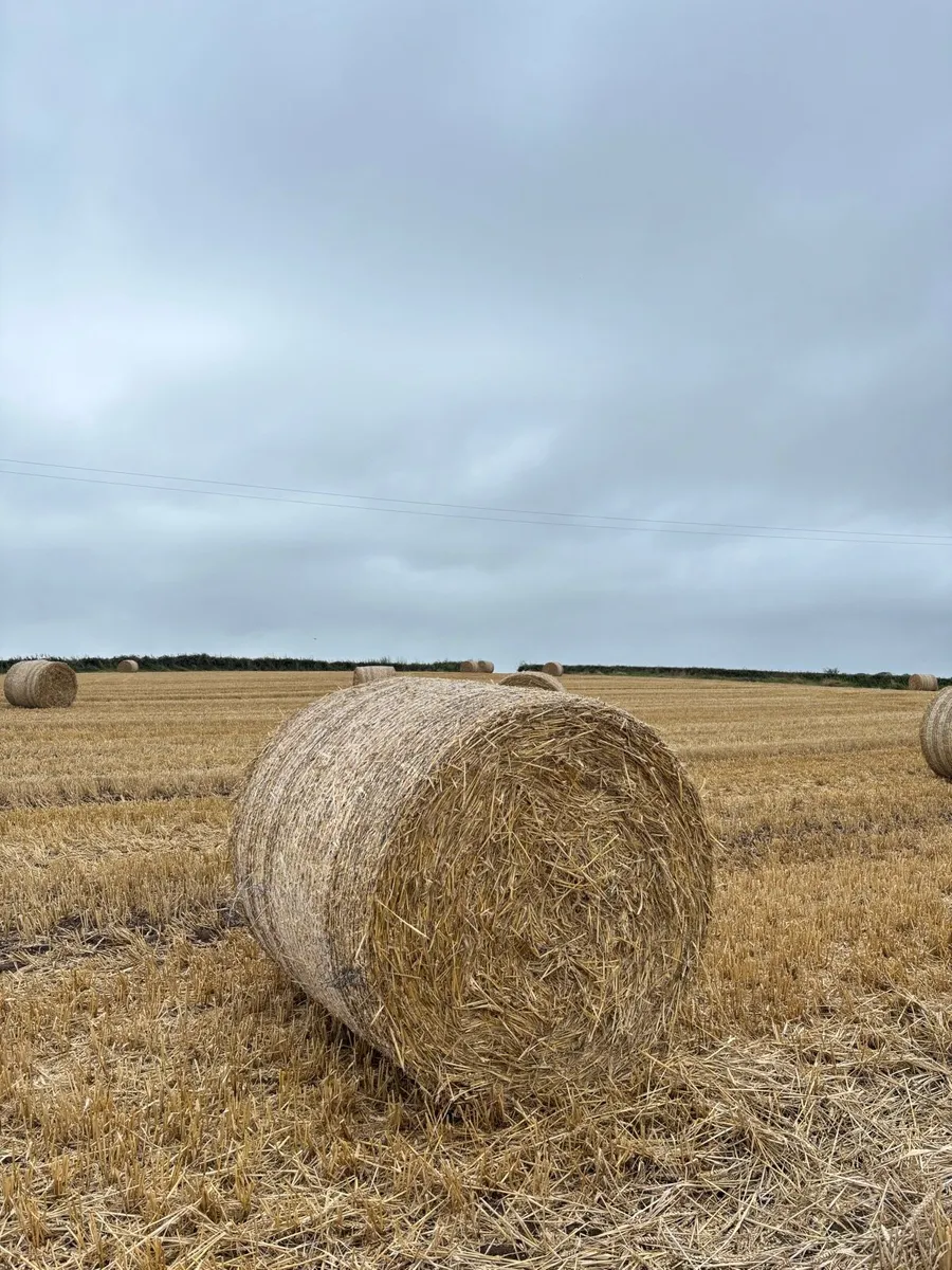 Straw