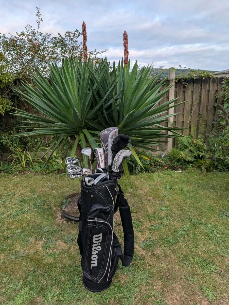 Wilson Golf clubs & bag - Image 1