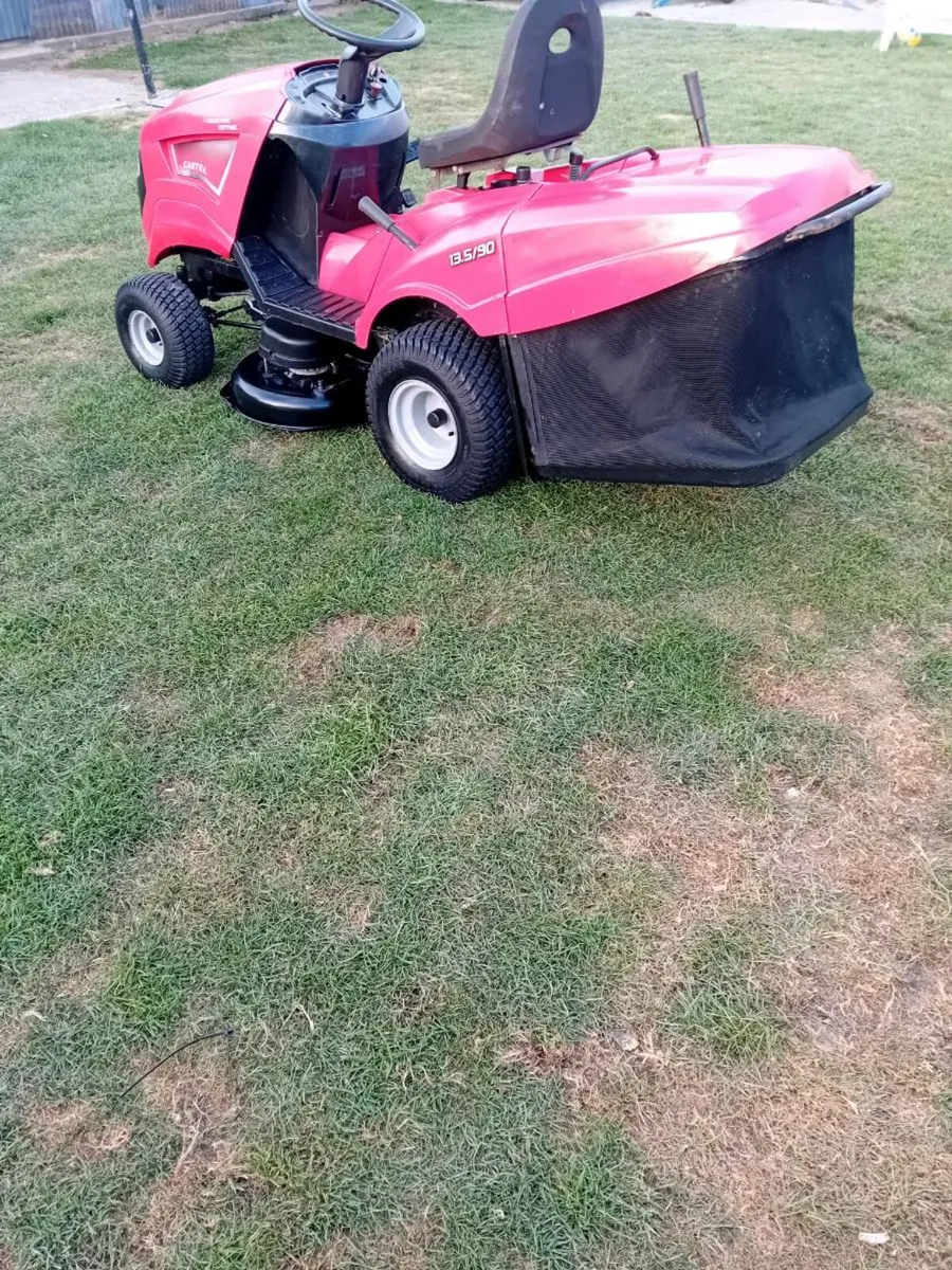 Lawnmower - Image 1