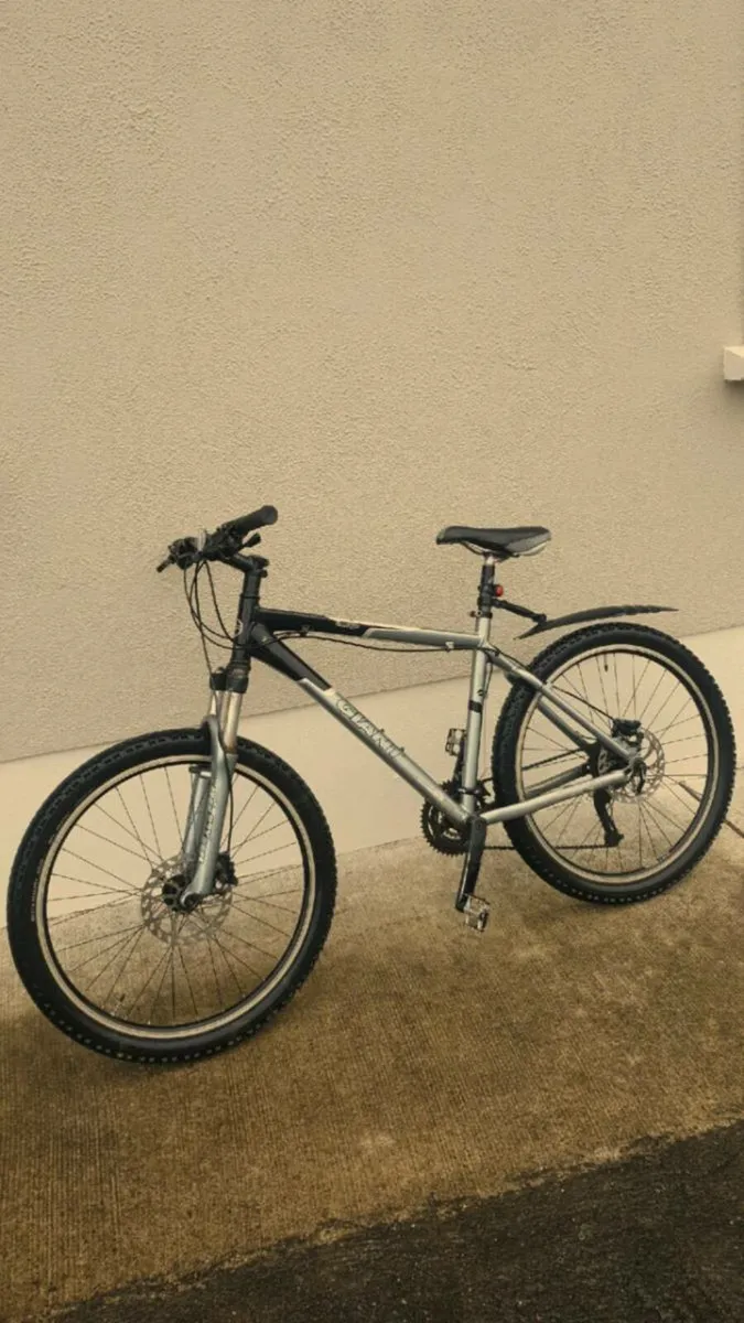Giant bike medium size