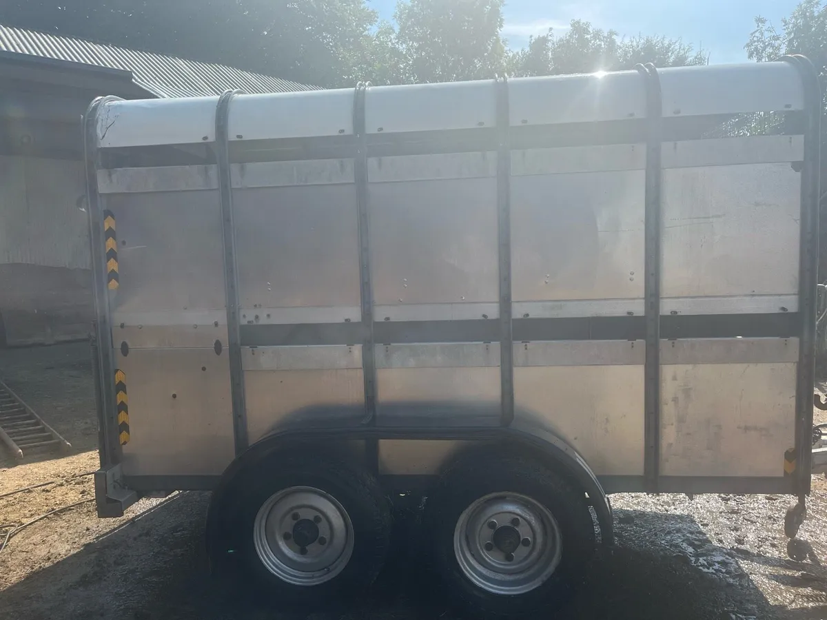 Sheep/cattle trailer - Image 2