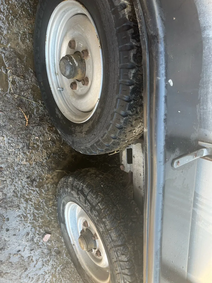 Sheep/cattle trailer - Image 4