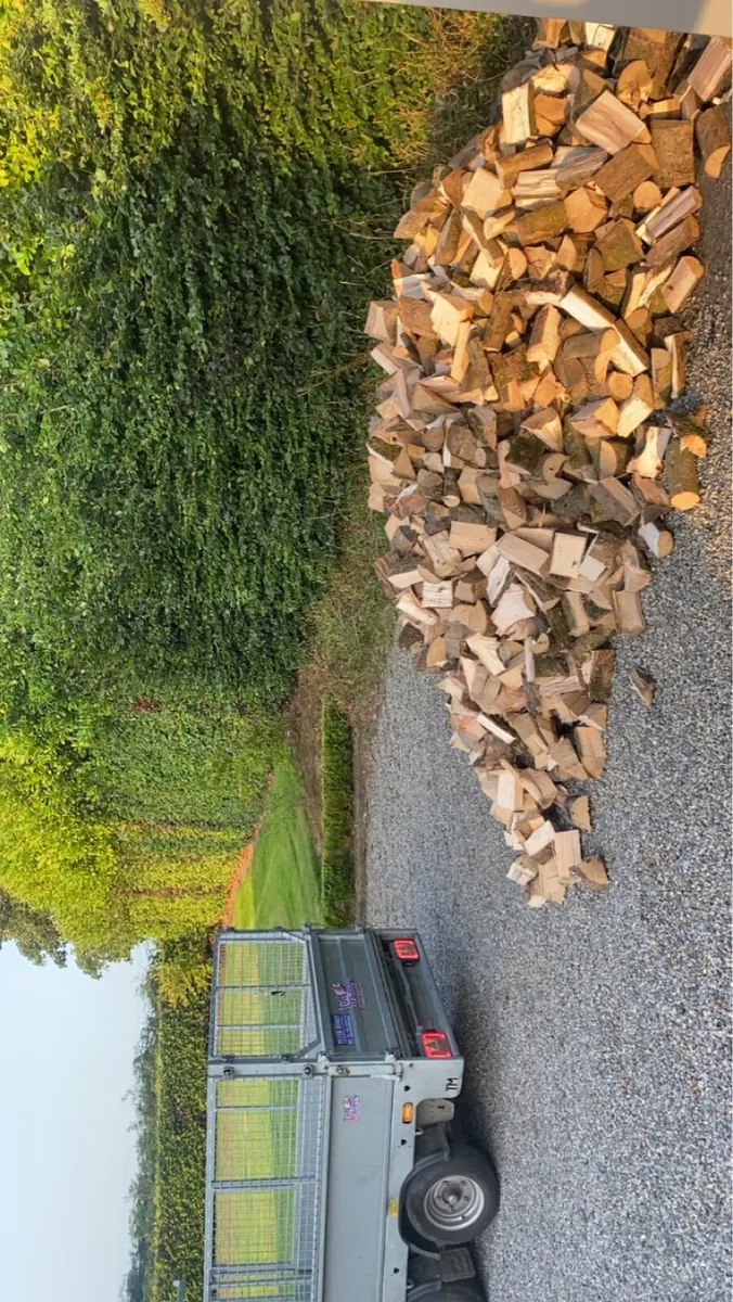 Firewood - Image 2