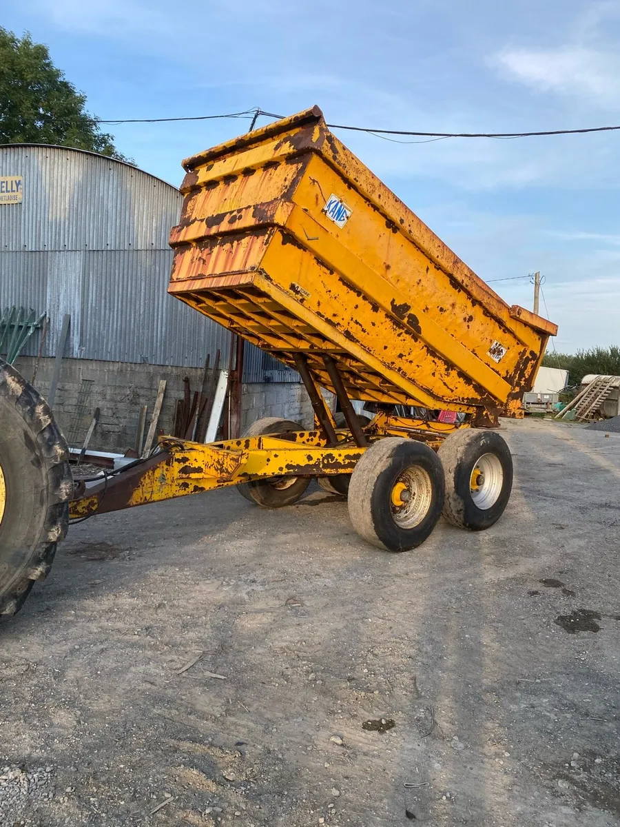 Dump Trailer 14 tonne Kane - Image 2