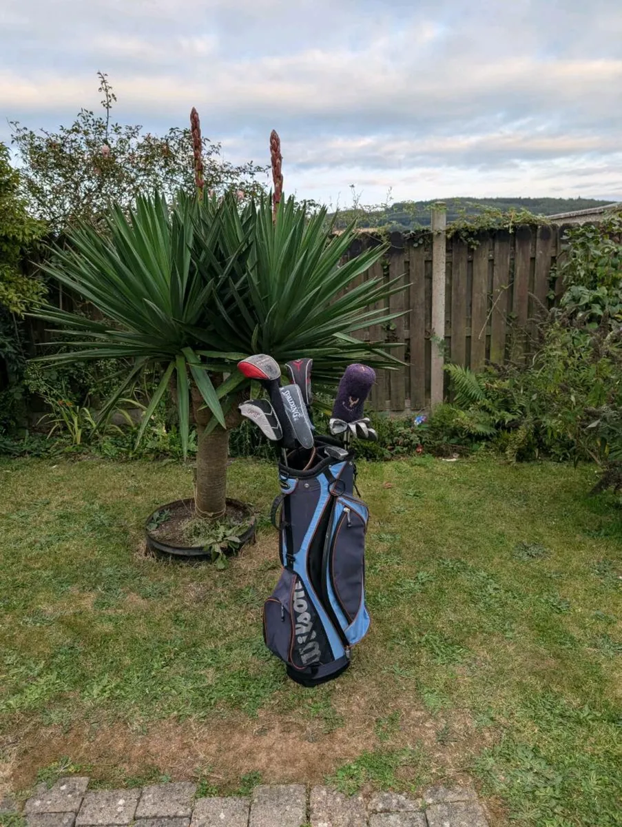 Set of adult Golf clubs - Image 1