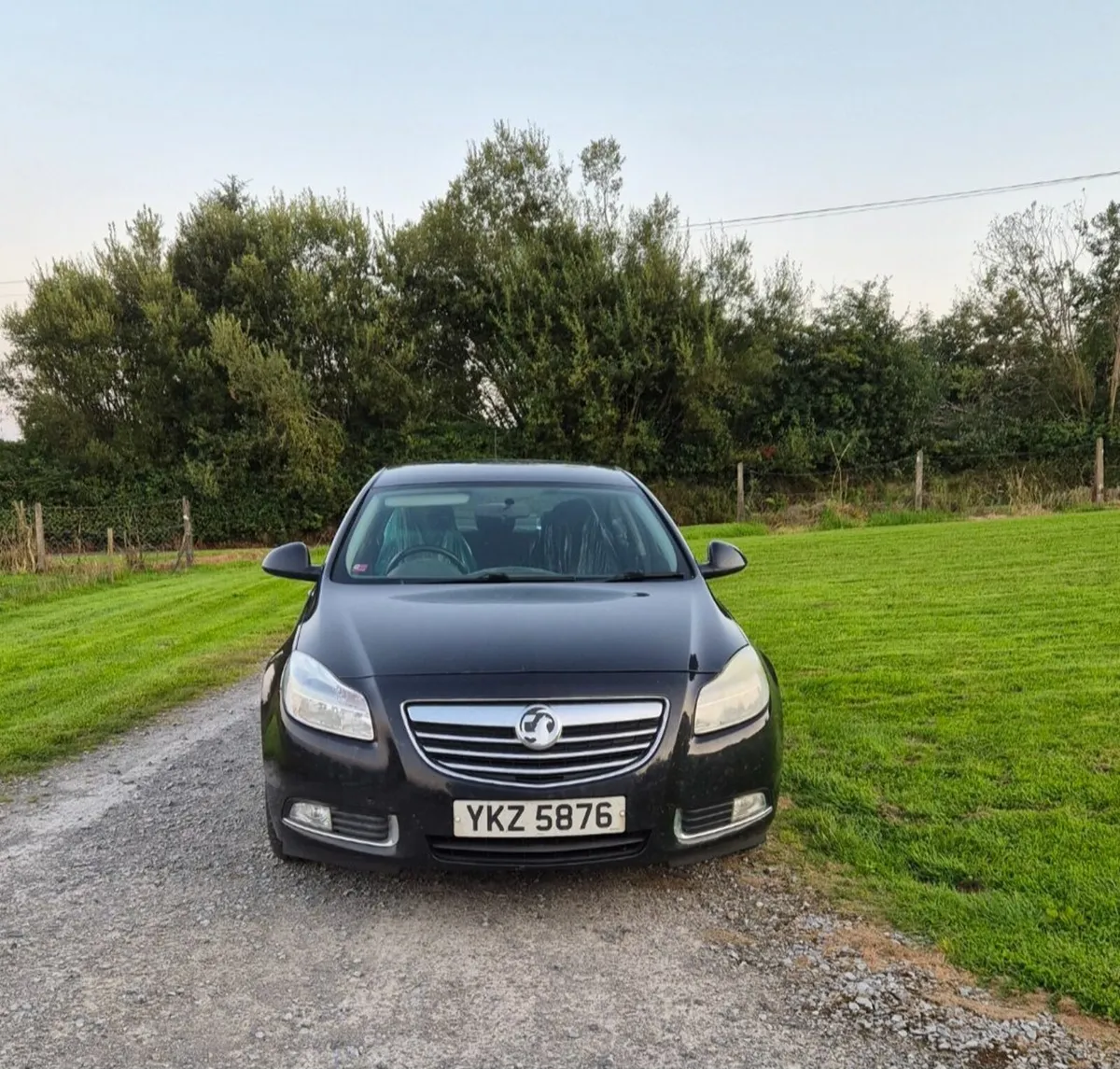 Vauxhall Insignia 2010 - Image 1
