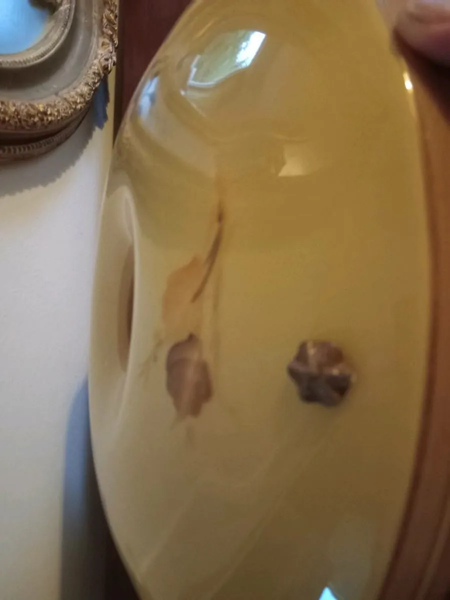 antique hanging shade - Image 3