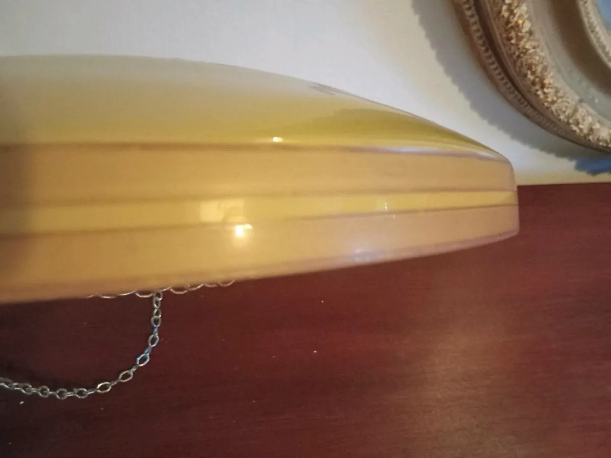antique hanging shade - Image 4