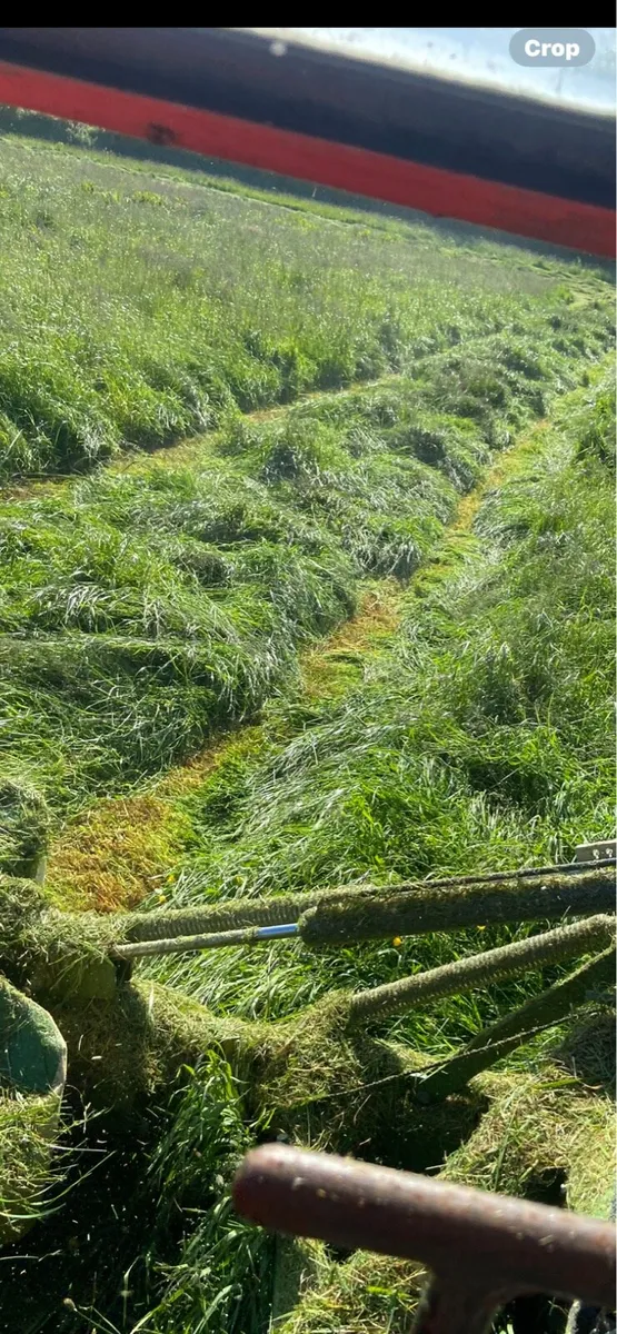 Silage bales - Image 2