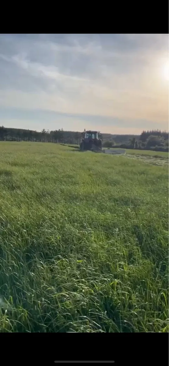Silage bales - Image 3