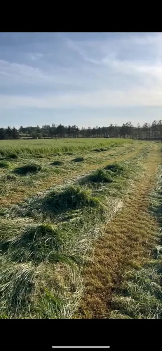 Silage bales - Image 4