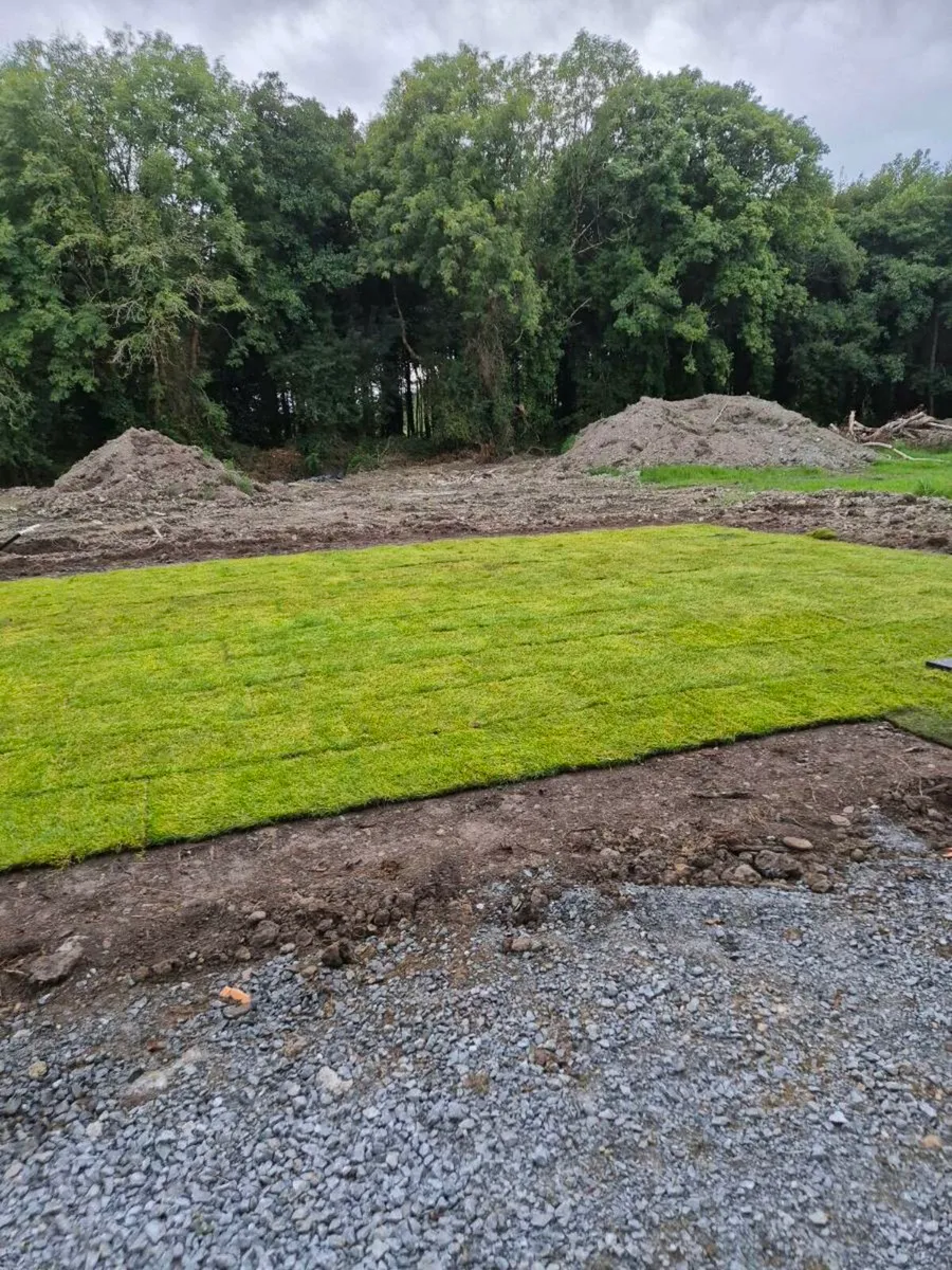 Fresh lawn turf 45sqm - Image 2