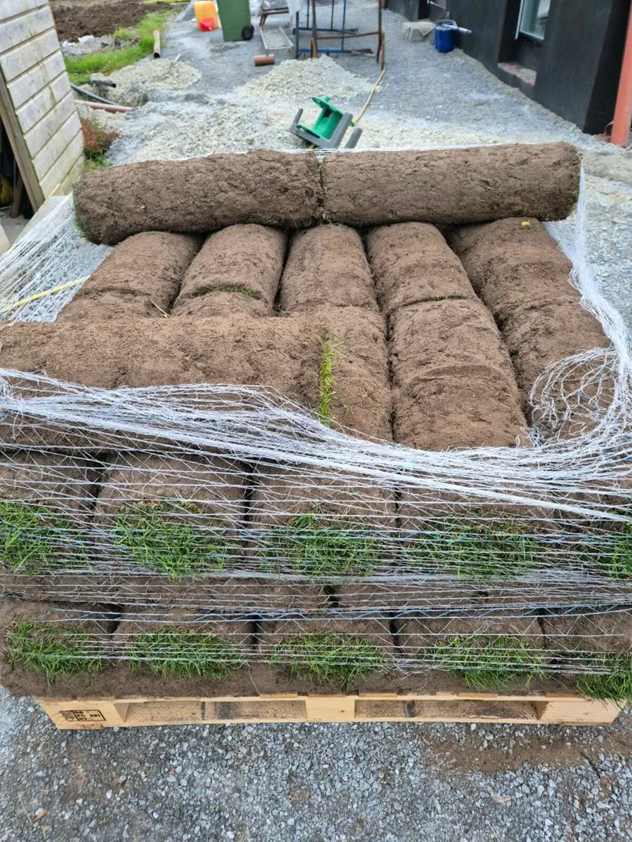 Fresh lawn turf 45sqm - Image 3