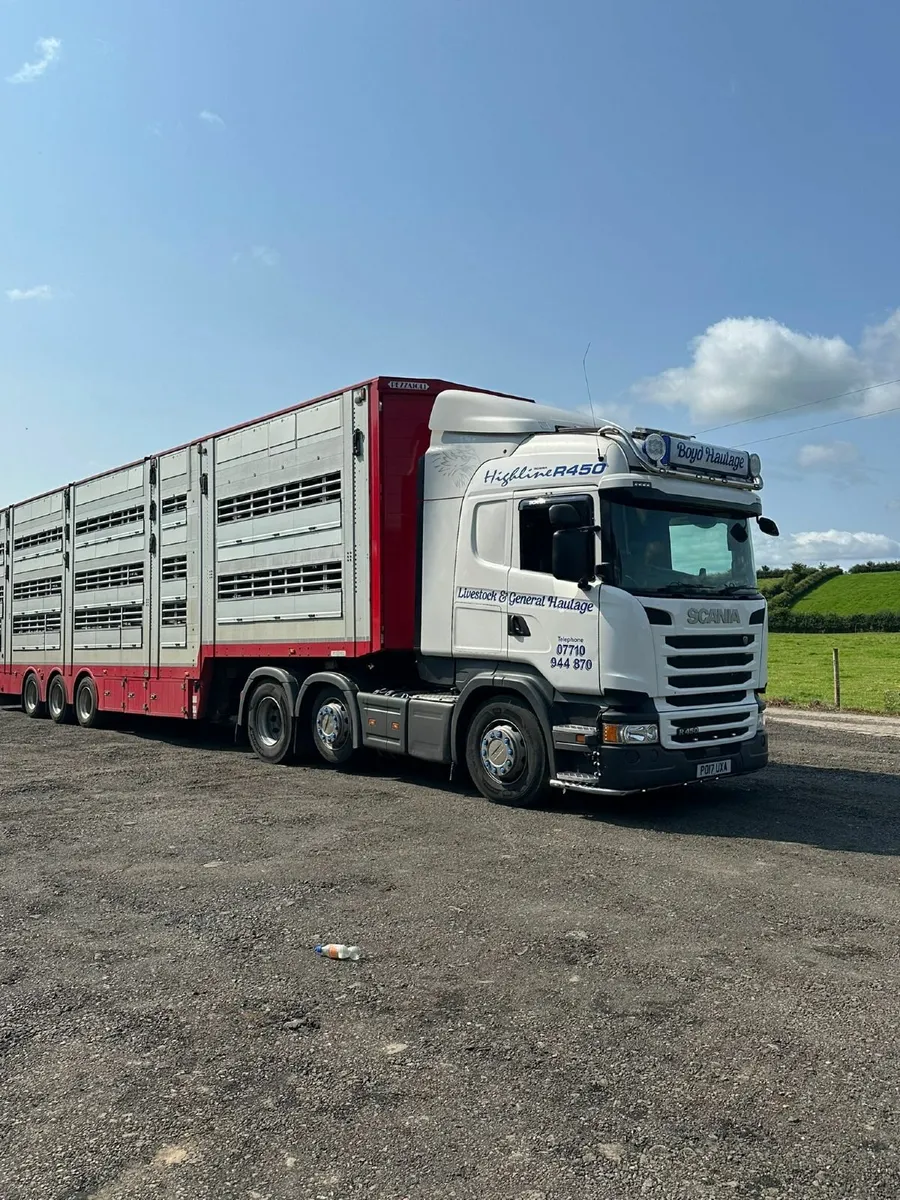 2017 pezzolia livestock trailer - Image 2