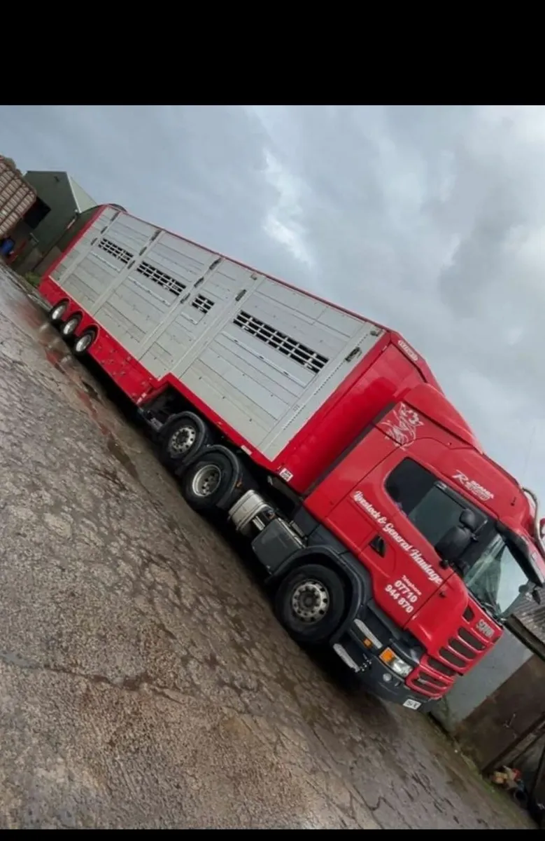 2017 pezzolia livestock trailer - Image 4