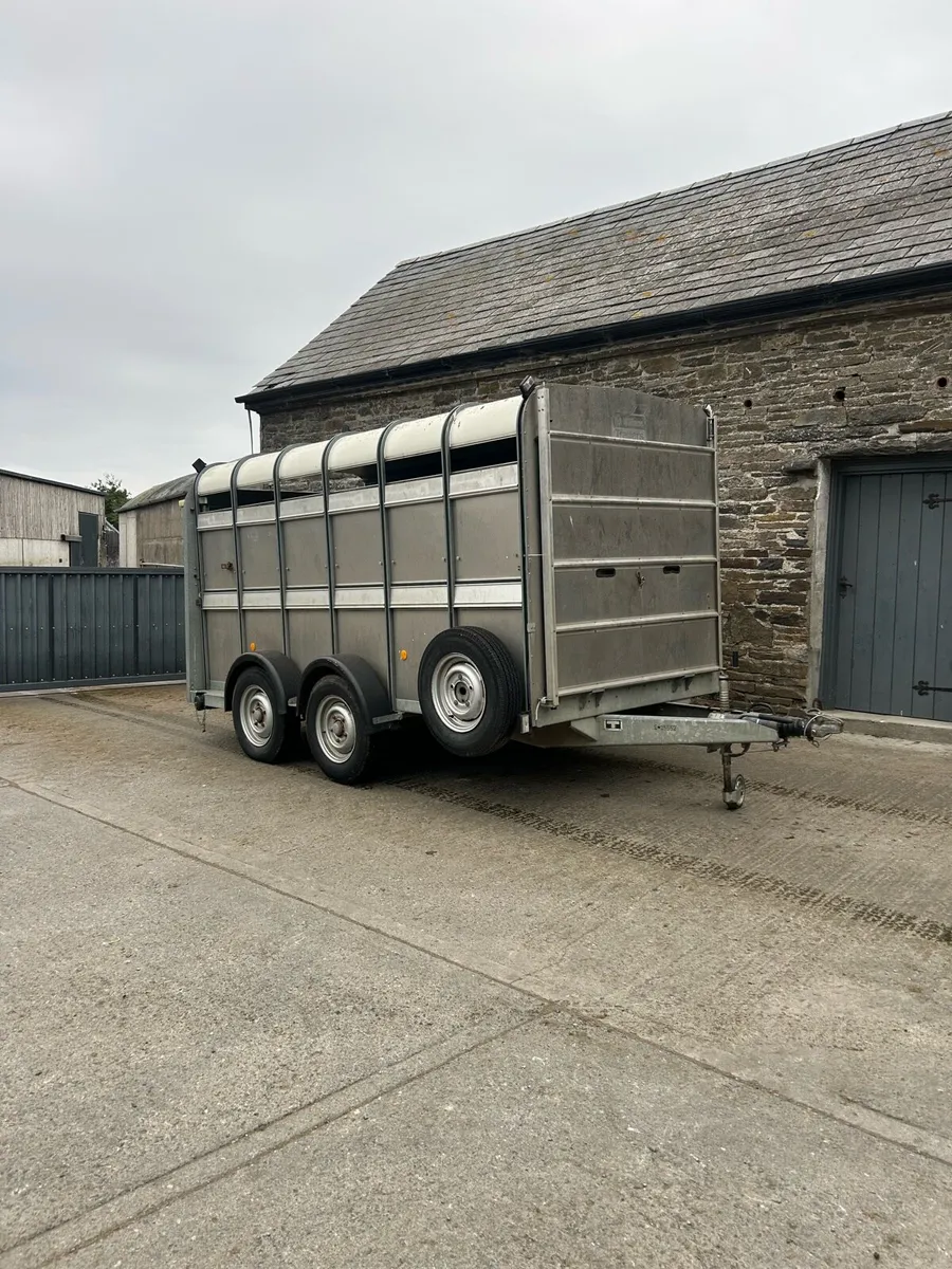 Ifor Williams 12ft cattle box - Image 1