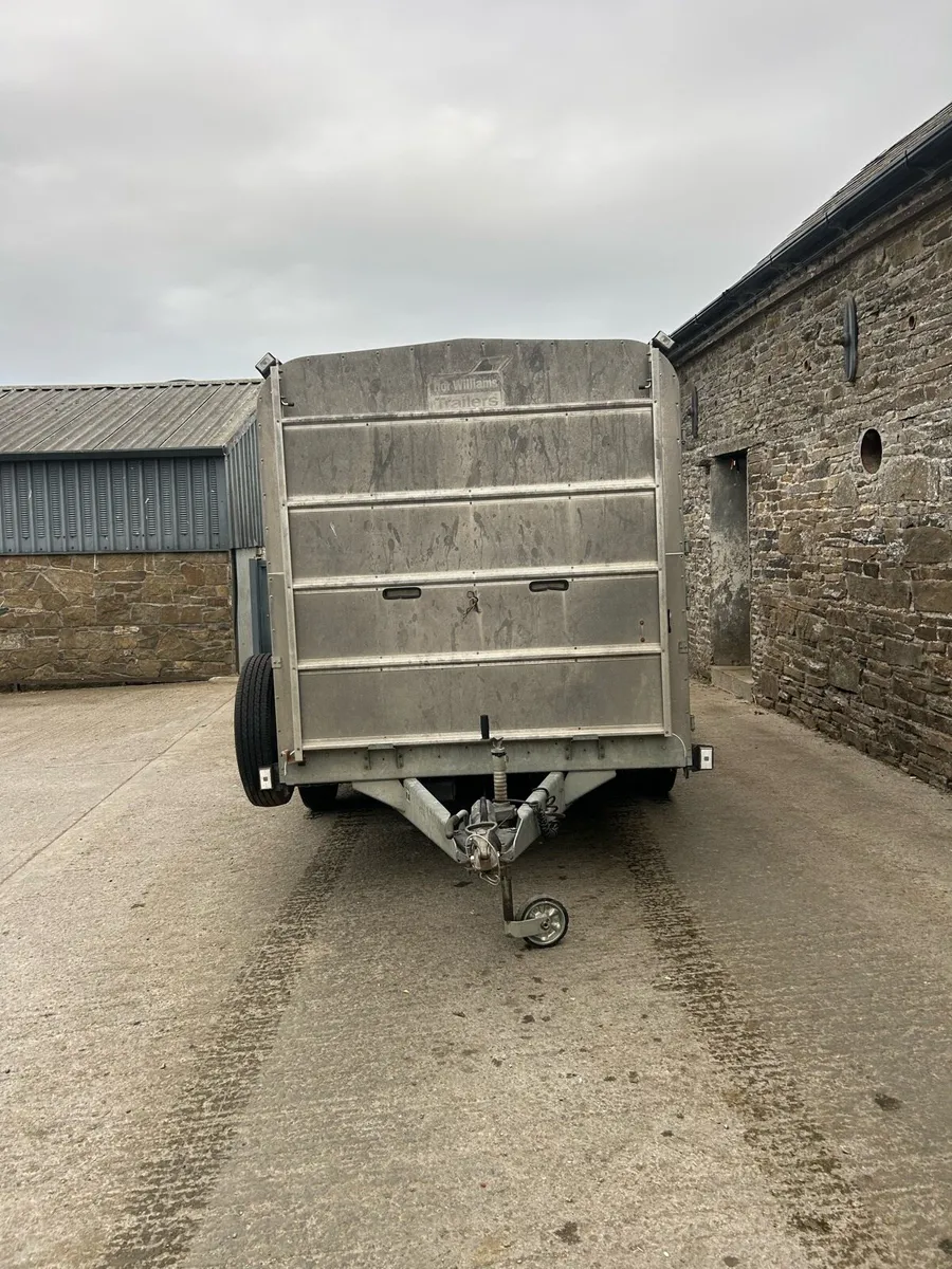 Ifor Williams 12ft cattle box - Image 2