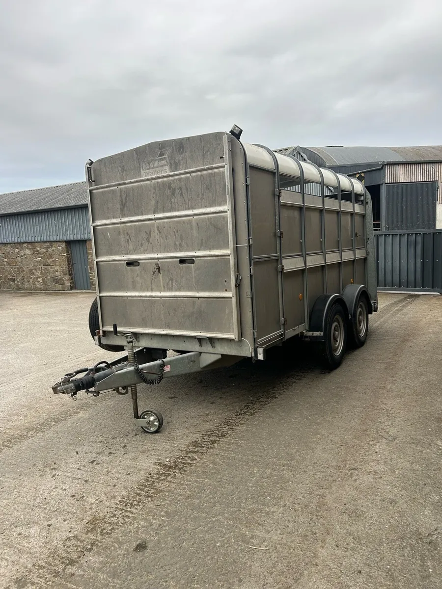 Ifor Williams 12ft cattle box - Image 3