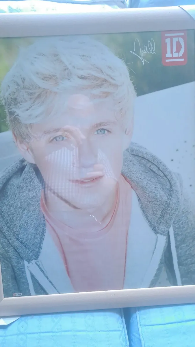 Poster 1d - Image 2
