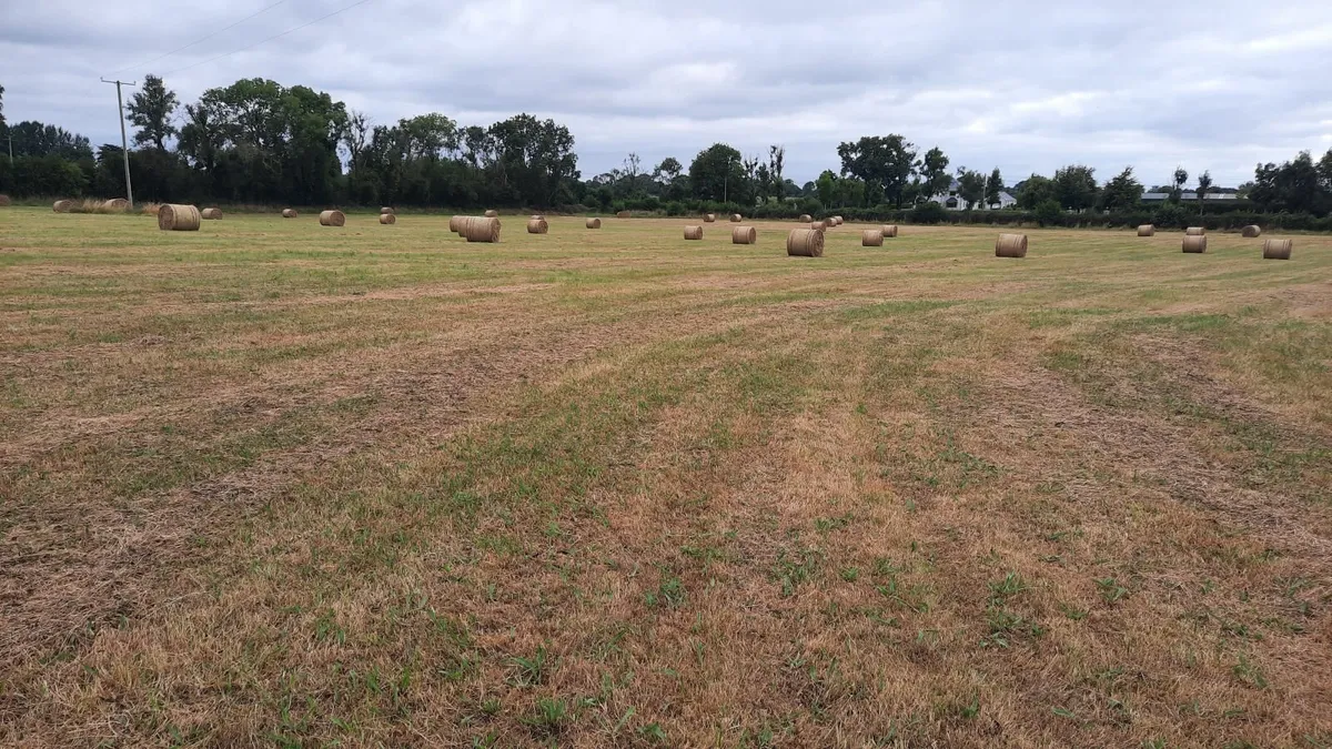Hay Bales - Image 1