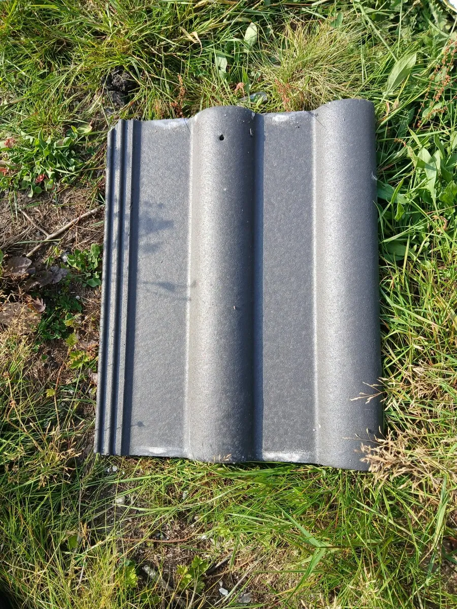 Free to take away - Roof Tiles - Image 1