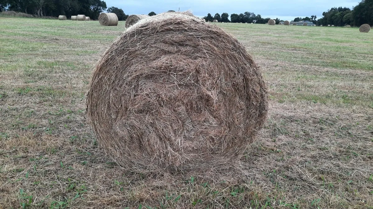 Hay Bales - Image 2
