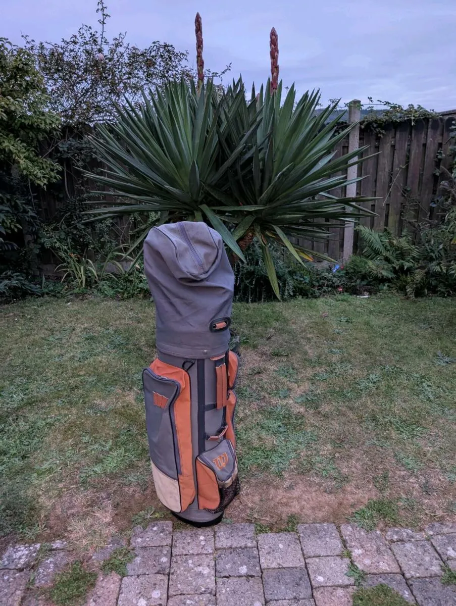 Set of adult Golf clubs - Image 1