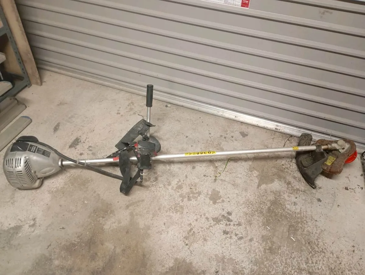 Strimmer - Image 2