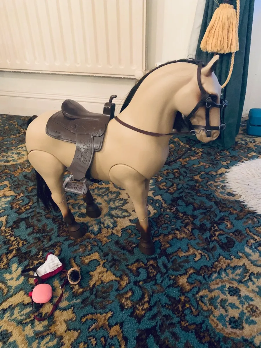 Our generation horse - Image 3