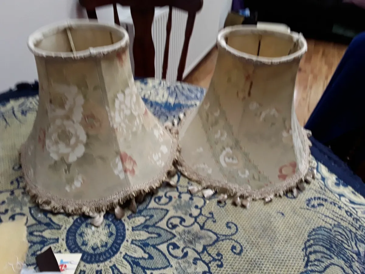 Two old vintage lamp shades - Image 1