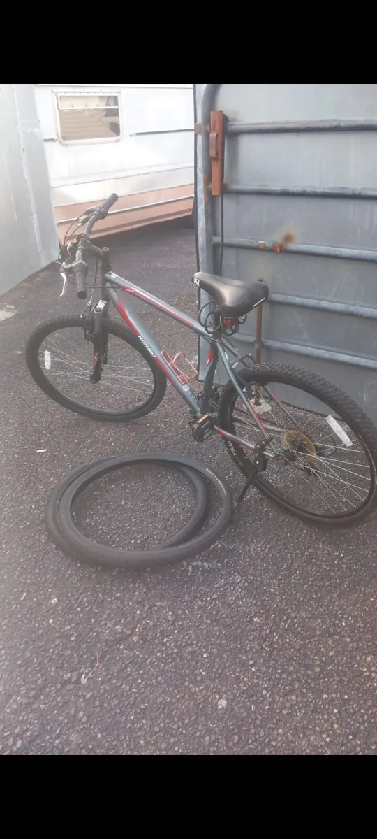 Adults bike for sale