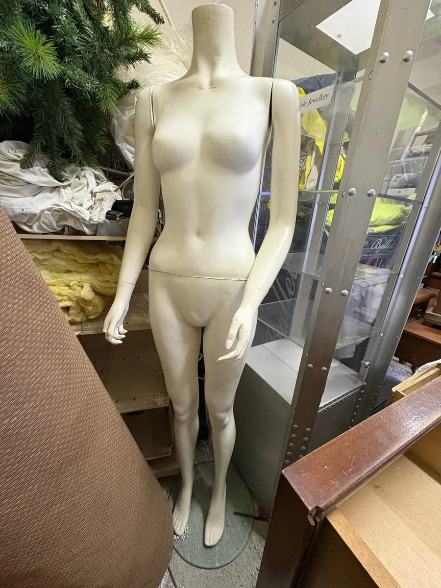 Mannequinn - Image 1