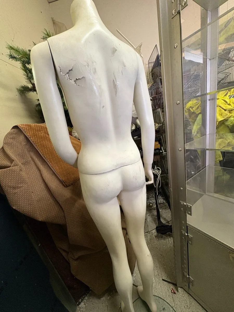 Mannequinn - Image 2