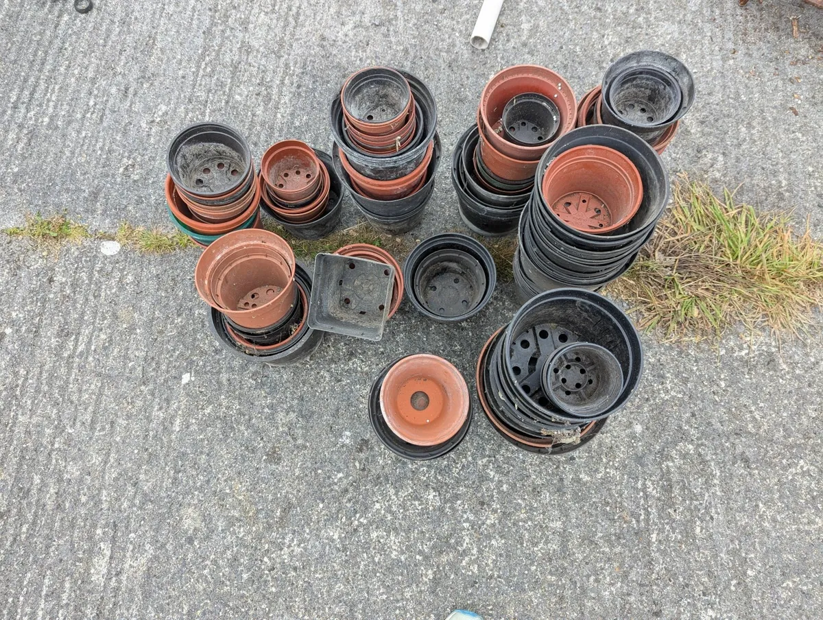 Plant pots