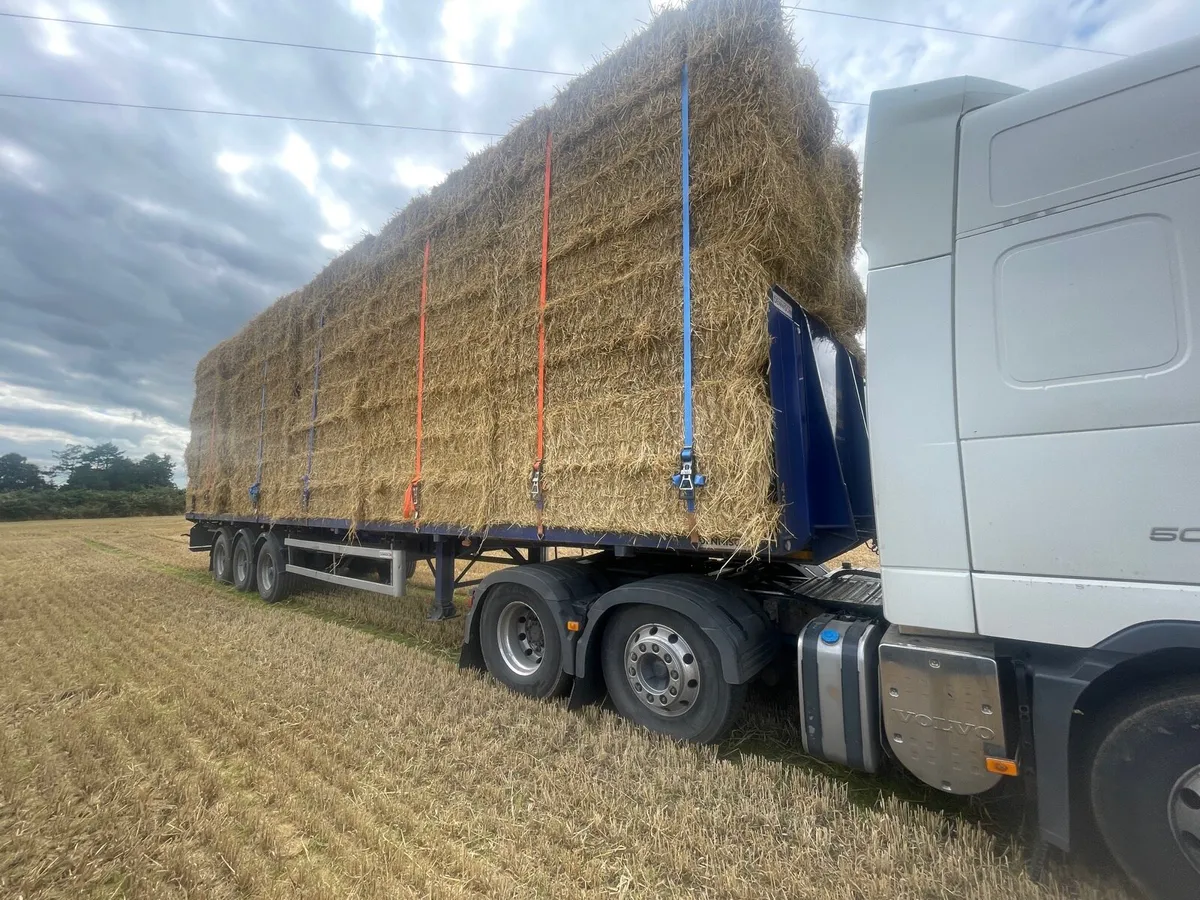 Top Quality barley straw in 8x4x3s barley straw - Image 2