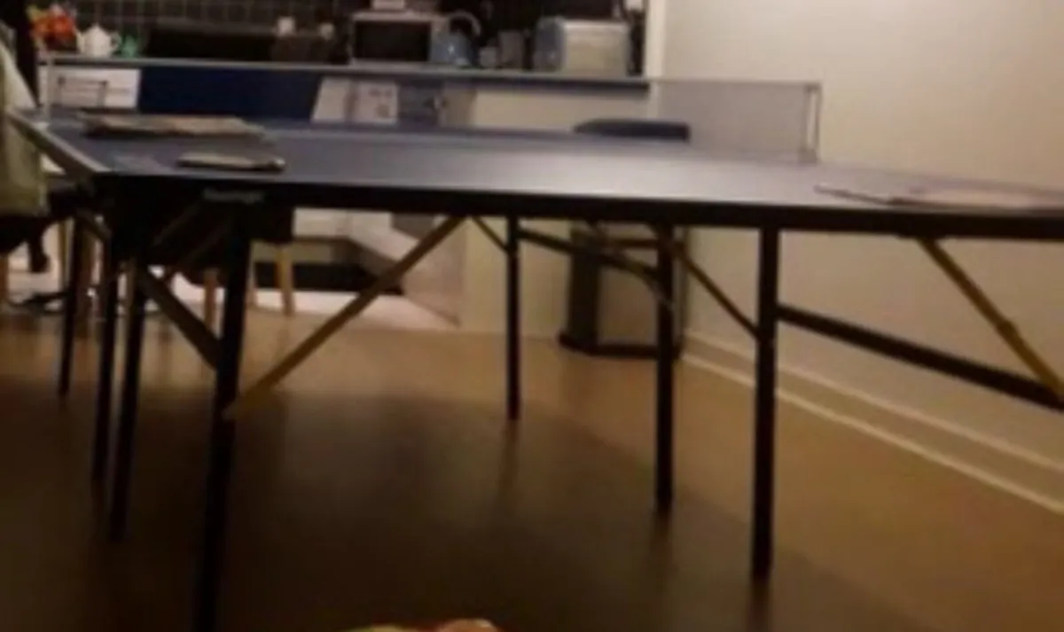 Table tennis table