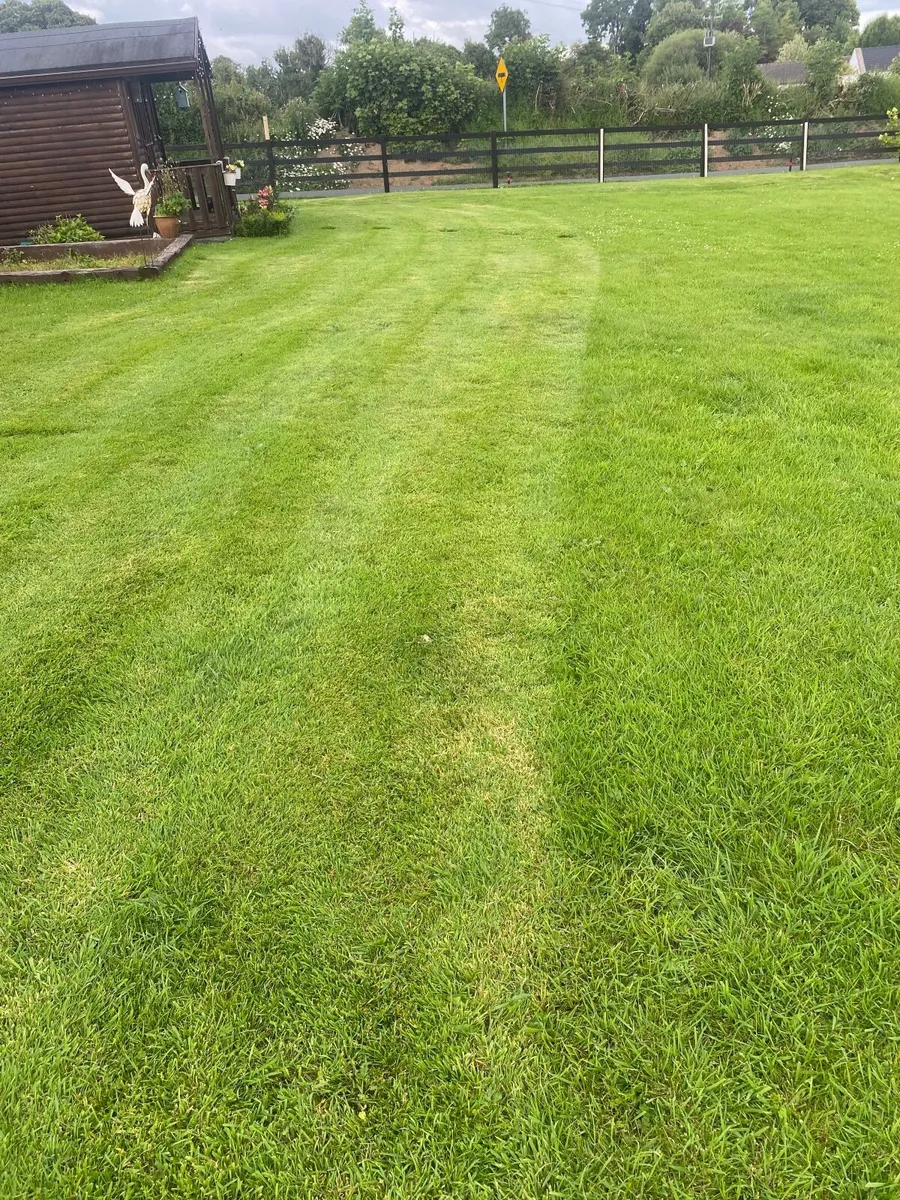 Ride on lawnmower - Image 2