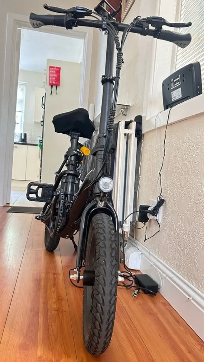 e bike - Image 2