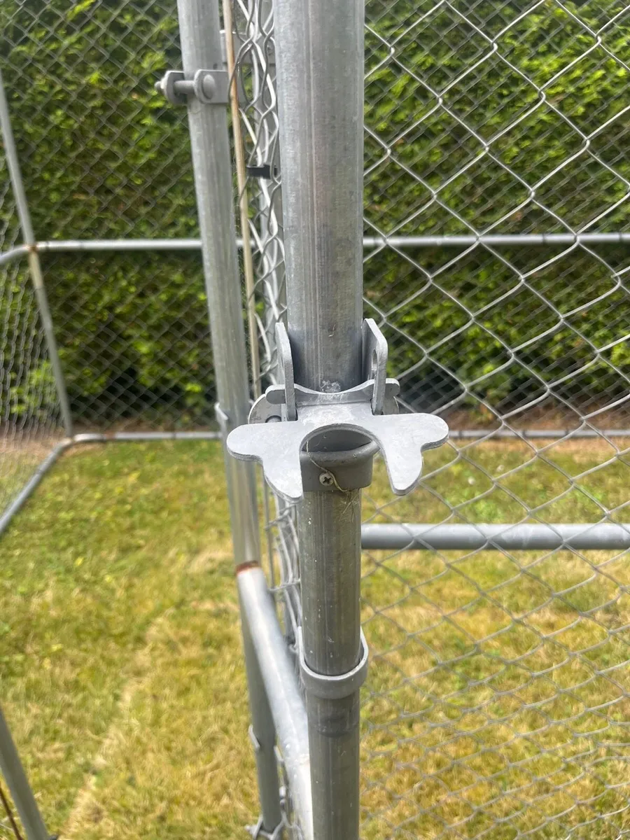 Dog Run - Image 2