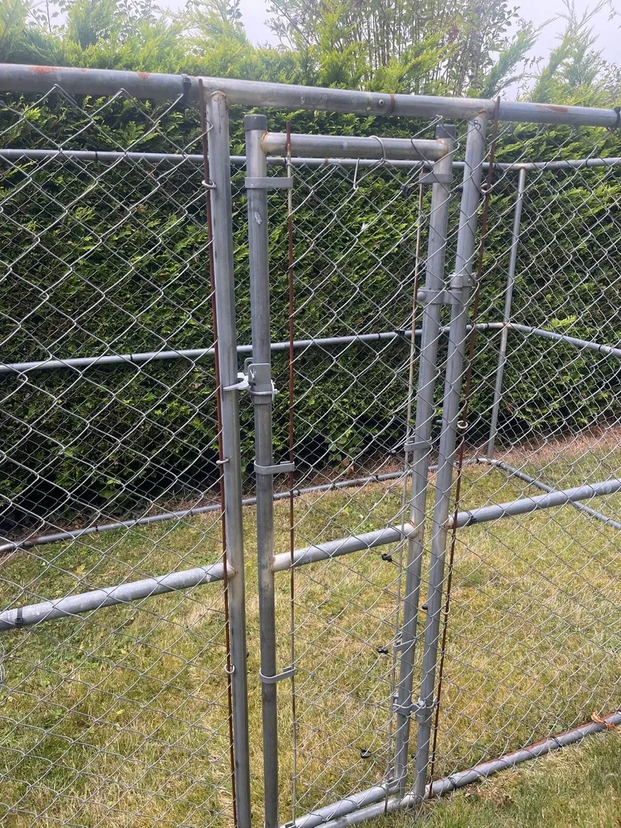 Dog Run - Image 3